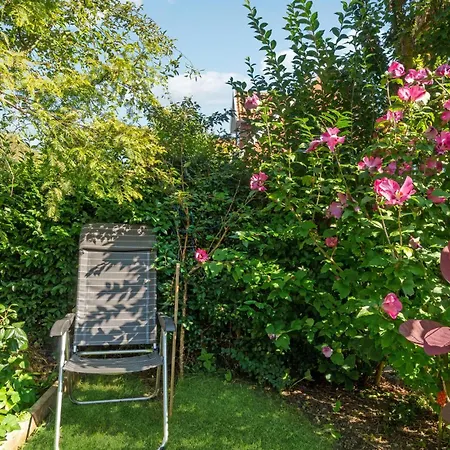 Lovely In With Wifi * 阿灵厄